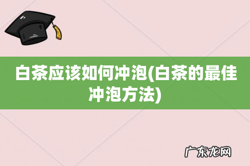 白茶的最佳冲泡方法 白茶应该如何冲泡