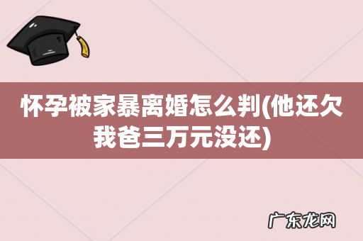 他还欠我爸三万元没还 怀孕被家暴离婚怎么判