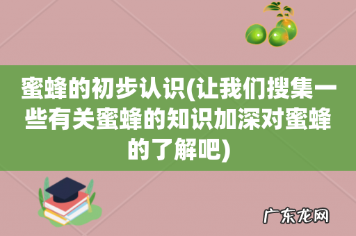 让我们搜集一些有关蜜蜂的知识加深对蜜蜂的了解吧 蜜蜂的初步认识