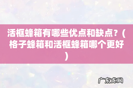格子蜂箱和活框蜂箱哪个更好 活框蜂箱有哪些优点和缺点?