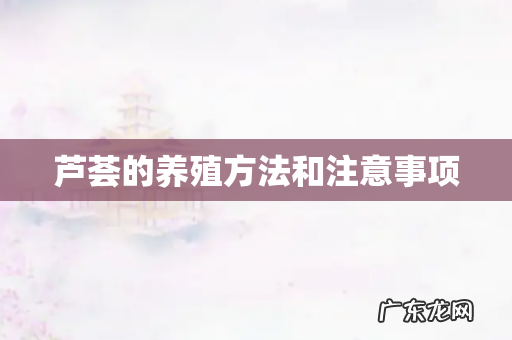 芦荟的养殖方法和注意事项