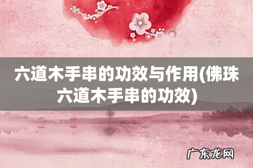佛珠六道木手串的功效 六道木手串的功效与作用