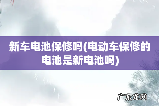 电动车保修的电池是新电池吗 新车电池保修吗
