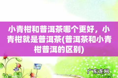 普洱茶和小青柑普洱的区别 小青柑和普洱茶哪个更好，小青柑就是普洱茶