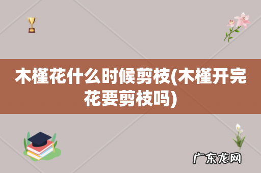 木槿开完花要剪枝吗 木槿花什么时候剪枝
