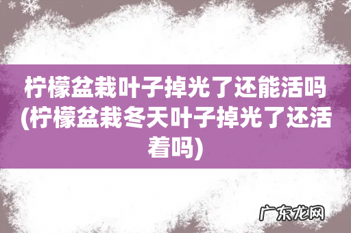 柠檬盆栽冬天叶子掉光了还活着吗 柠檬盆栽叶子掉光了还能活吗