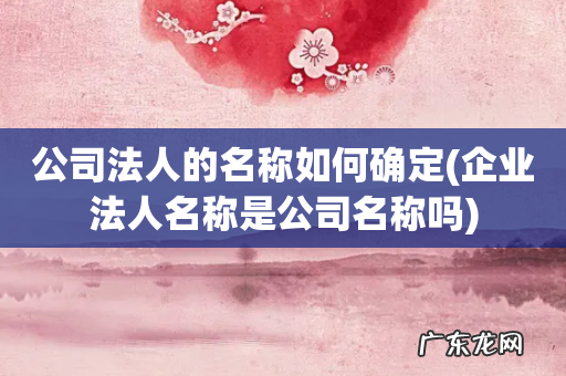 企业法人名称是公司名称吗 公司法人的名称如何确定
