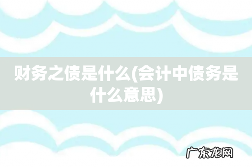 会计中债务是什么意思 财务之债是什么