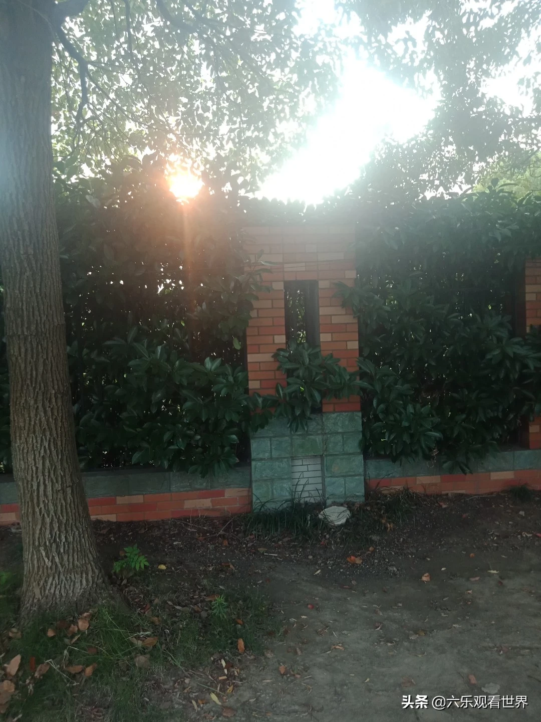 我很伤心很伤心怎么办？