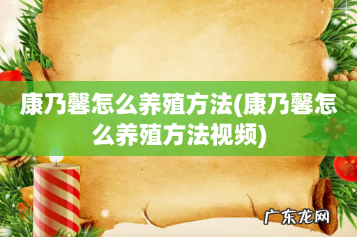 康乃馨怎么养殖方法视频 康乃馨怎么养殖方法