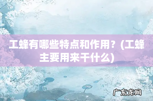 工蜂主要用来干什么 工蜂有哪些特点和作用？