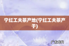 宁红工夫茶产于 宁红工夫茶产地