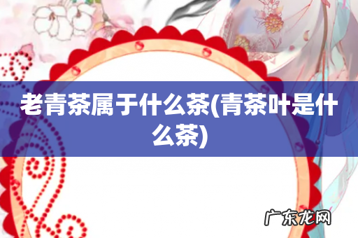 青茶叶是什么茶 老青茶属于什么茶