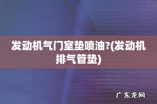 发动机排气管垫 发动机气门室垫喷油?