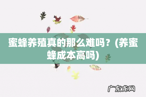 养蜜蜂成本高吗 蜜蜂养殖真的那么难吗?