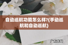 手动巡航和自动巡航 自动巡航功能怎么样?