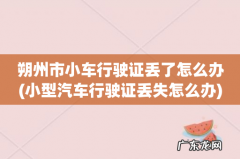 小型汽车行驶证丢失怎么办 朔州市小车行驶证丢了怎么办