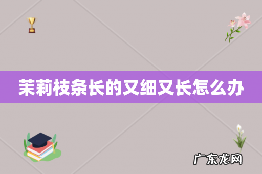 茉莉枝条长的又细又长怎么办