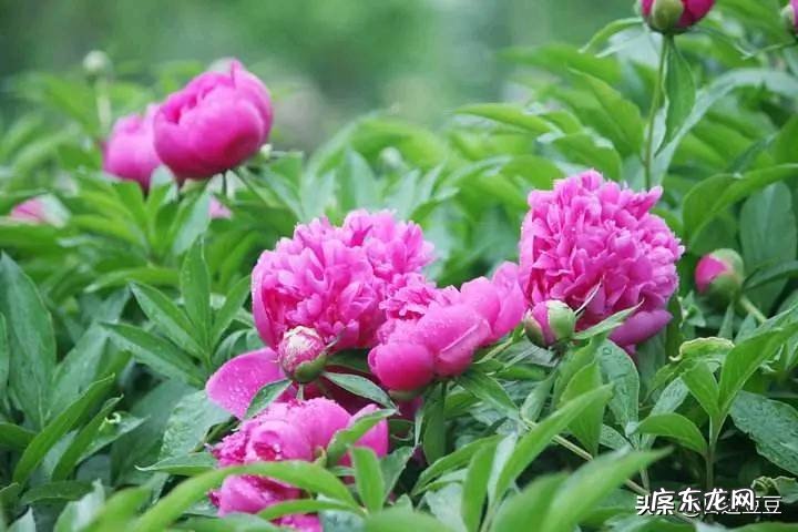 有哪些简单易唱、适合在元旦晚会表演的歌曲推荐？