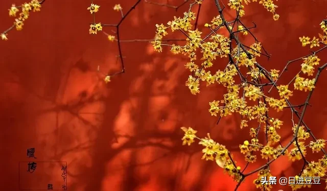 有哪些简单易唱、适合在元旦晚会表演的歌曲推荐？