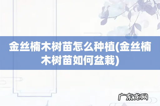 金丝楠木树苗如何盆栽 金丝楠木树苗怎么种植