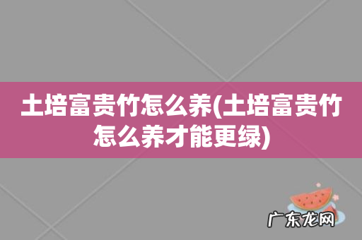 土培富贵竹怎么养才能更绿 土培富贵竹怎么养