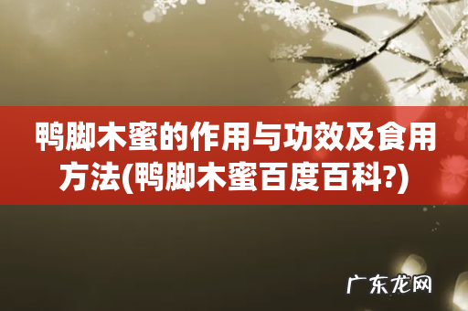 鸭脚木蜜百度百科? 鸭脚木蜜的作用与功效及食用方法