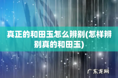 怎样辨别真的和田玉 真正的和田玉怎么辨别