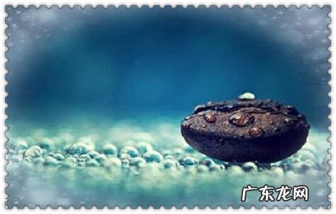 今年什么生肖好运气 今期生肖看风水是什么生肖