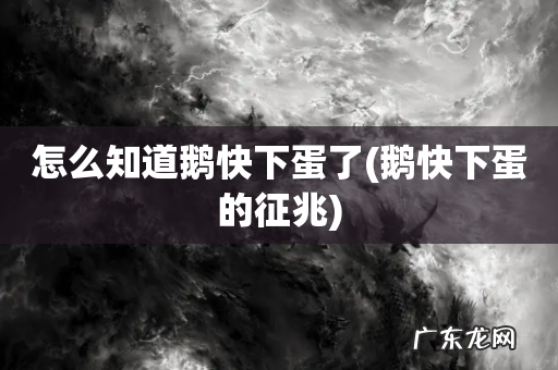 鹅快下蛋的征兆 怎么知道鹅快下蛋了