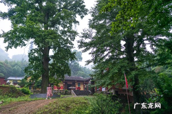 大余梅岭门票多少钱 大余梅岭图片