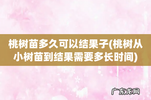 桃树从小树苗到结果需要多长时间 桃树苗多久可以结果子