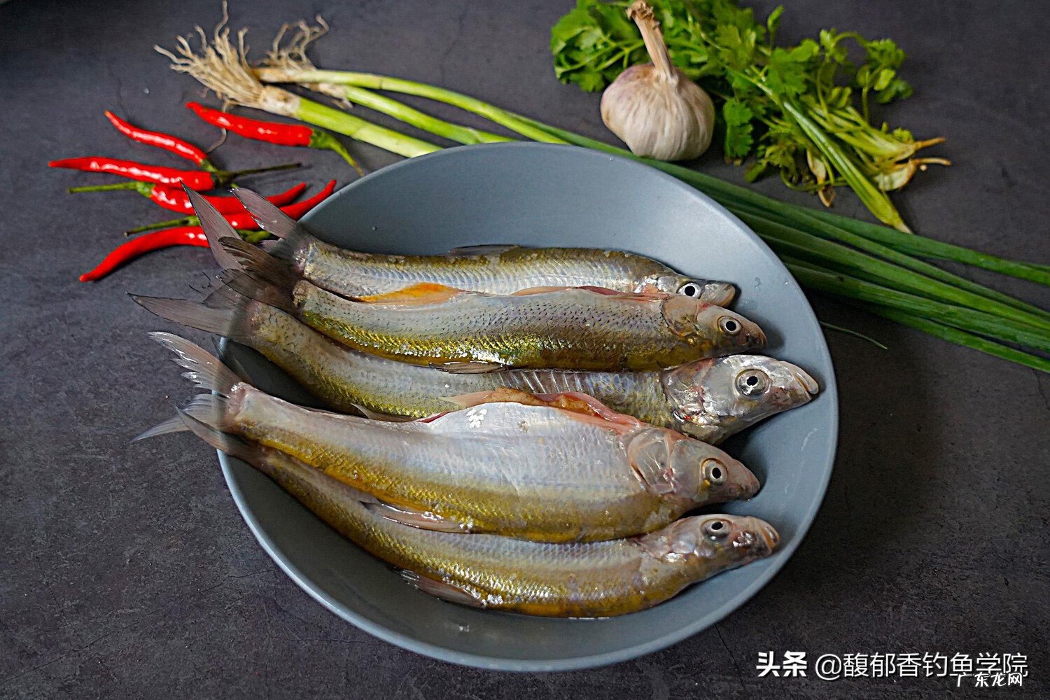 钓白条用什么漂 钓白条的位置