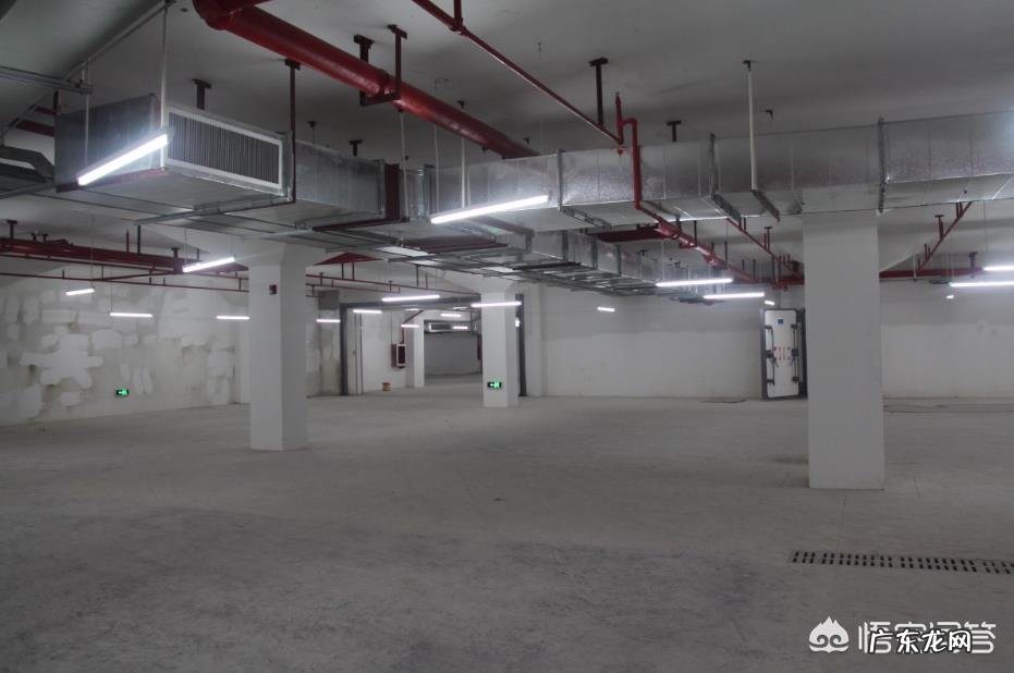 机动车污染成为我国空气污染的重要来源。关于绿色出行,你有什么建议?