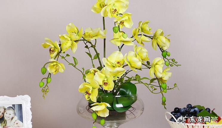 机动车污染成为我国空气污染的重要来源。关于绿色出行,你有什么建议?