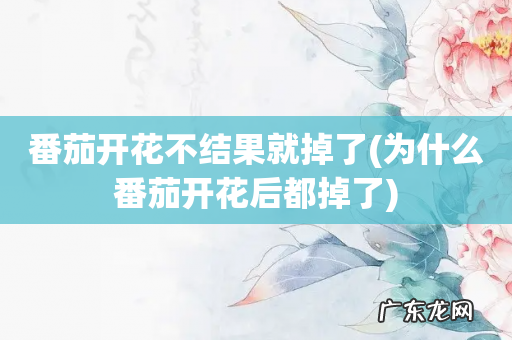 为什么番茄开花后都掉了 番茄开花不结果就掉了