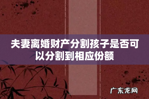 夫妻离婚财产分割孩子是否可以分割到相应份额
