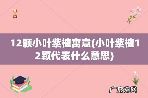 小叶紫檀12颗代表什么意思 12颗小叶紫檀寓意