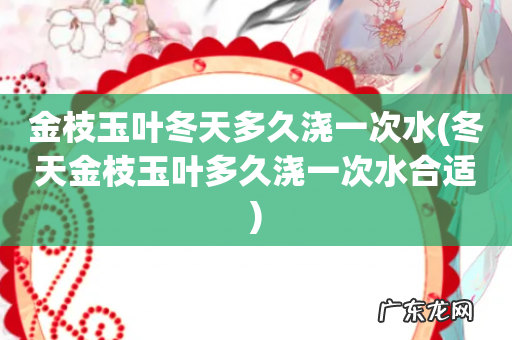 冬天金枝玉叶多久浇一次水合适 金枝玉叶冬天多久浇一次水