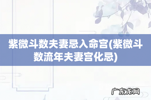 紫微斗数流年夫妻宫化忌 紫微斗数夫妻忌入命宫
