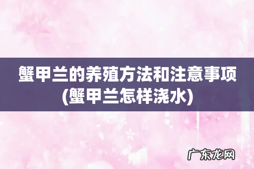 蟹甲兰怎样浇水 蟹甲兰的养殖方法和注意事项