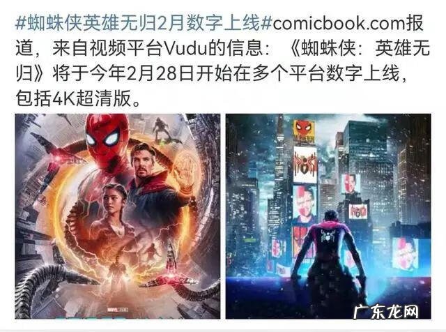 网络蜘蛛官网 网络蜘蛛侠