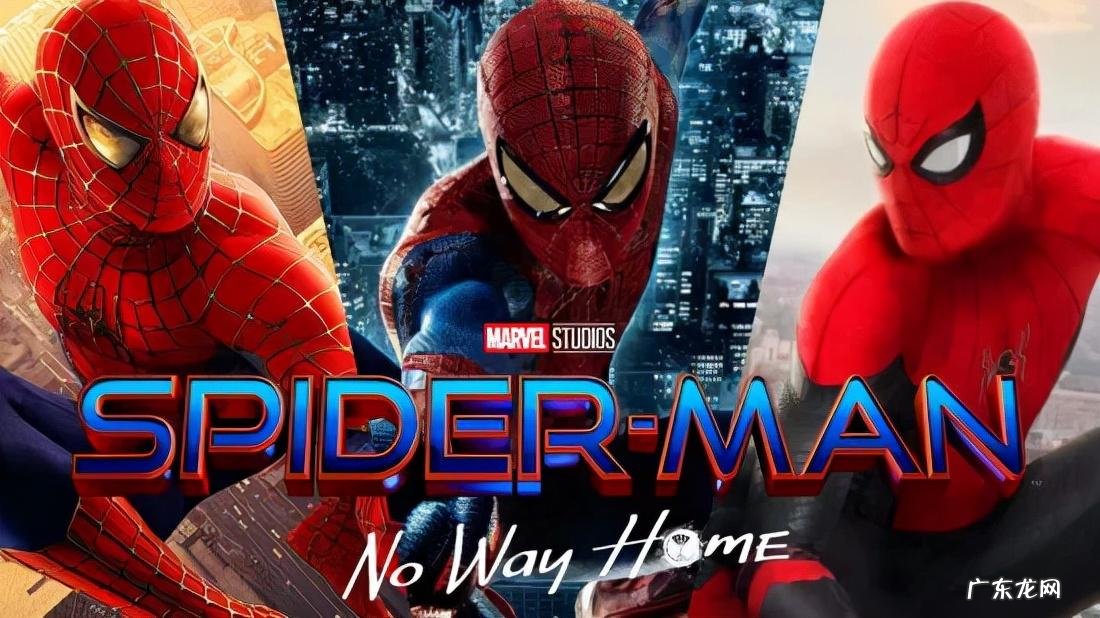 网络蜘蛛官网 网络蜘蛛侠