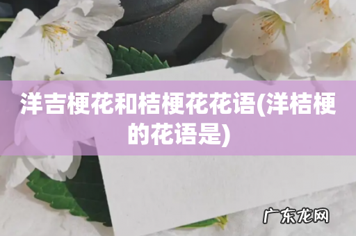 洋桔梗的花语是 洋吉梗花和桔梗花花语
