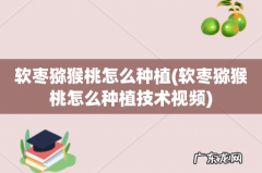 软枣猕猴桃怎么种植技术视频 软枣猕猴桃怎么种植