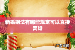 新婚姻法有哪些规定可以直接离婚