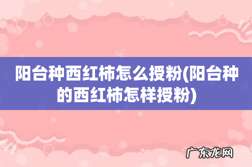 阳台种的西红柿怎样授粉 阳台种西红柿怎么授粉
