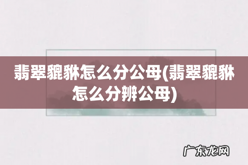 翡翠貔貅怎么分辨公母 翡翠貔貅怎么分公母