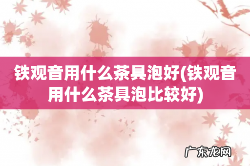 铁观音用什么茶具泡比较好 铁观音用什么茶具泡好