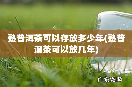 熟普洱茶可以放几年 熟普洱茶可以存放多少年